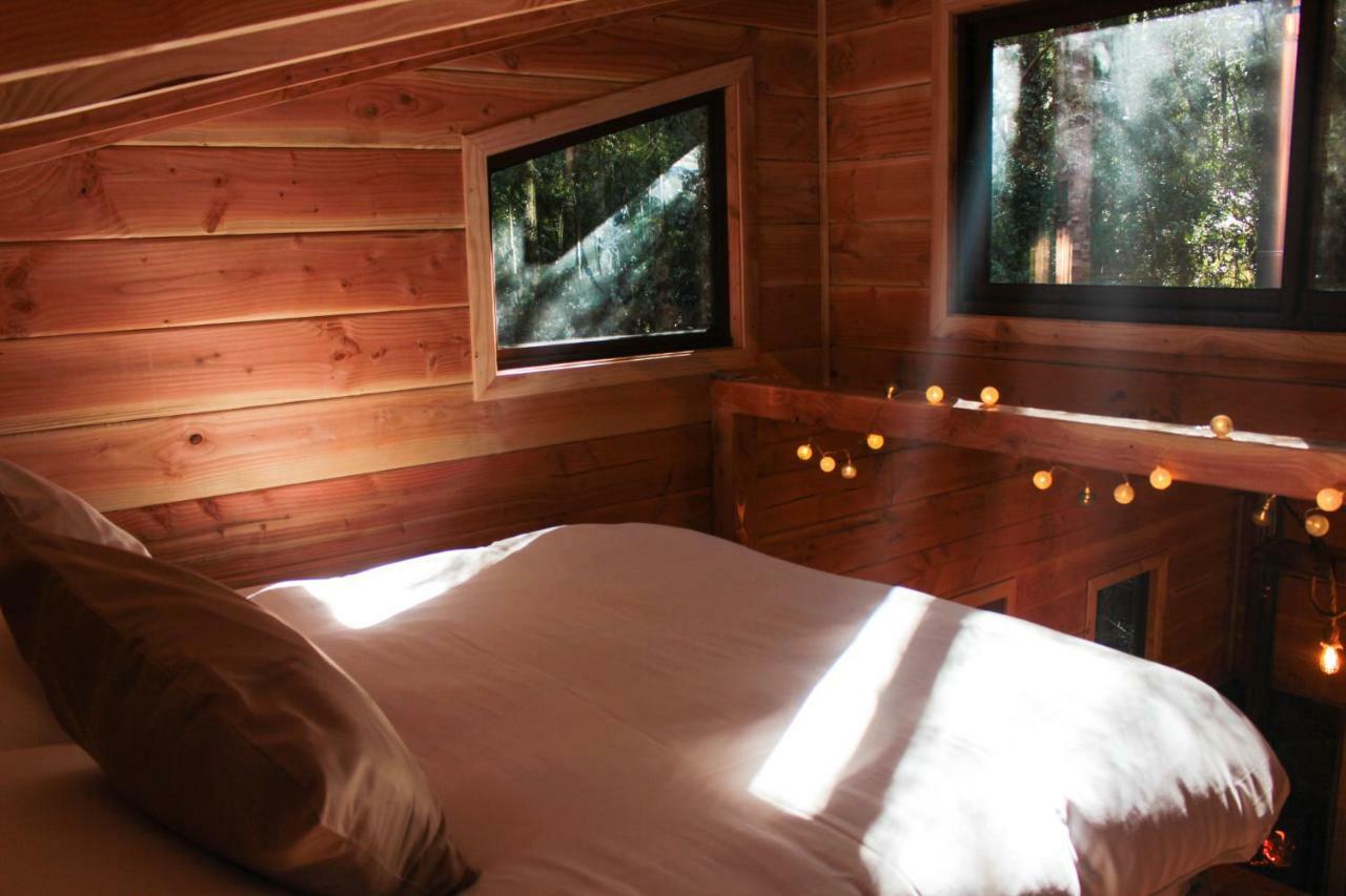 Cabanas Bosque Milenario Coñaripe Εξωτερικό φωτογραφία