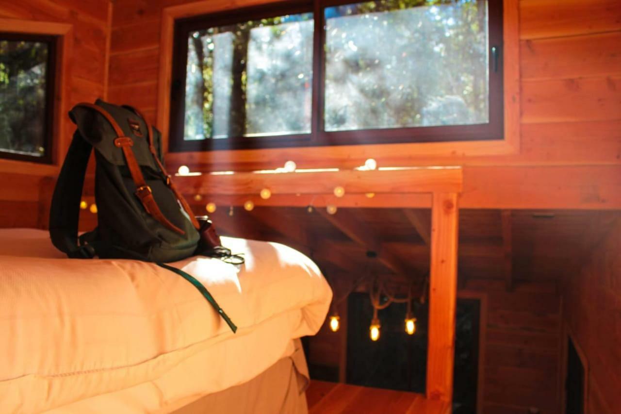 Cabanas Bosque Milenario Coñaripe Εξωτερικό φωτογραφία