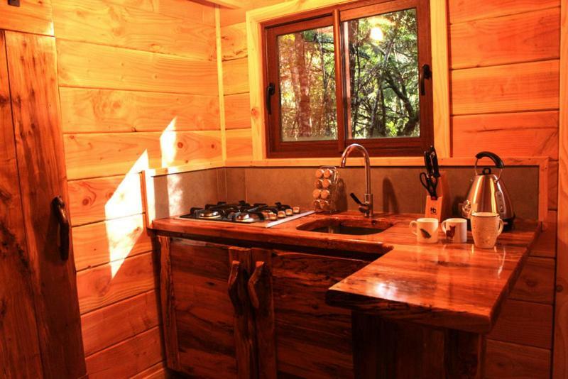 Cabanas Bosque Milenario Coñaripe Εξωτερικό φωτογραφία