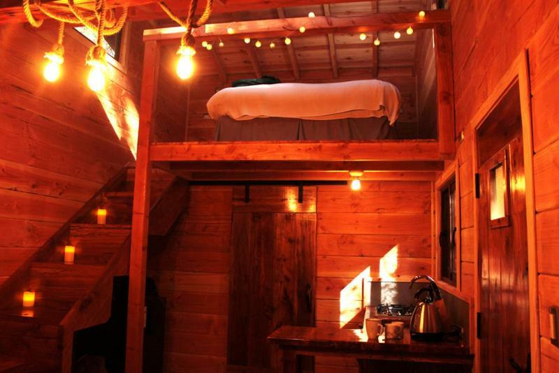 Cabanas Bosque Milenario Coñaripe Εξωτερικό φωτογραφία