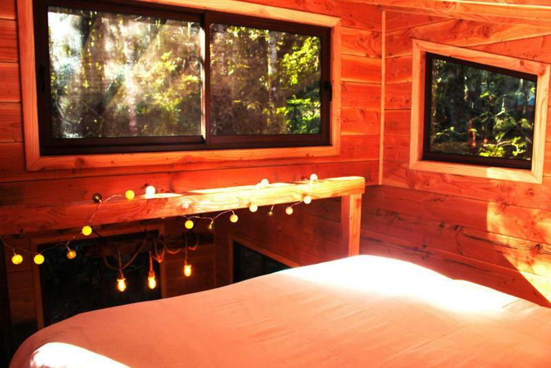 Cabanas Bosque Milenario Coñaripe Εξωτερικό φωτογραφία