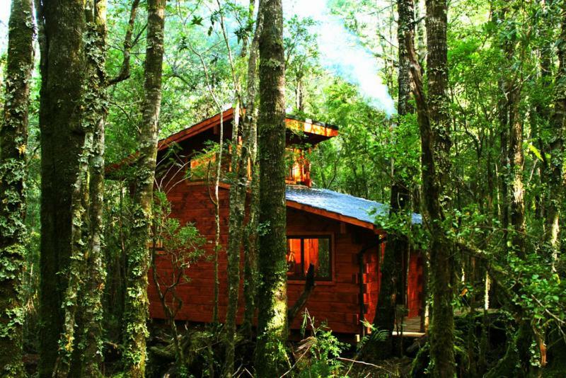 Cabanas Bosque Milenario Coñaripe Εξωτερικό φωτογραφία