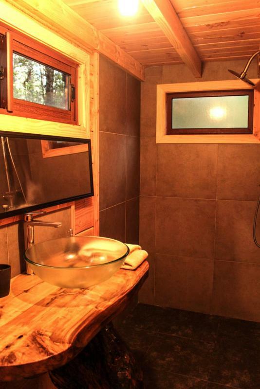 Cabanas Bosque Milenario Coñaripe Εξωτερικό φωτογραφία
