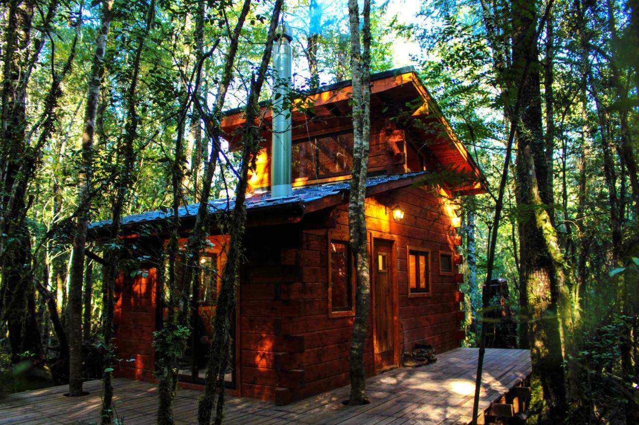Cabanas Bosque Milenario Coñaripe Εξωτερικό φωτογραφία