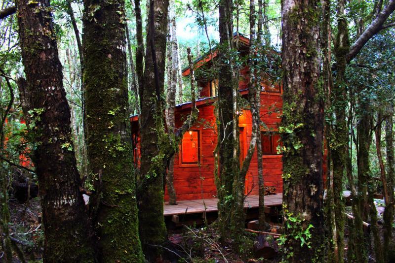 Cabanas Bosque Milenario Coñaripe Εξωτερικό φωτογραφία