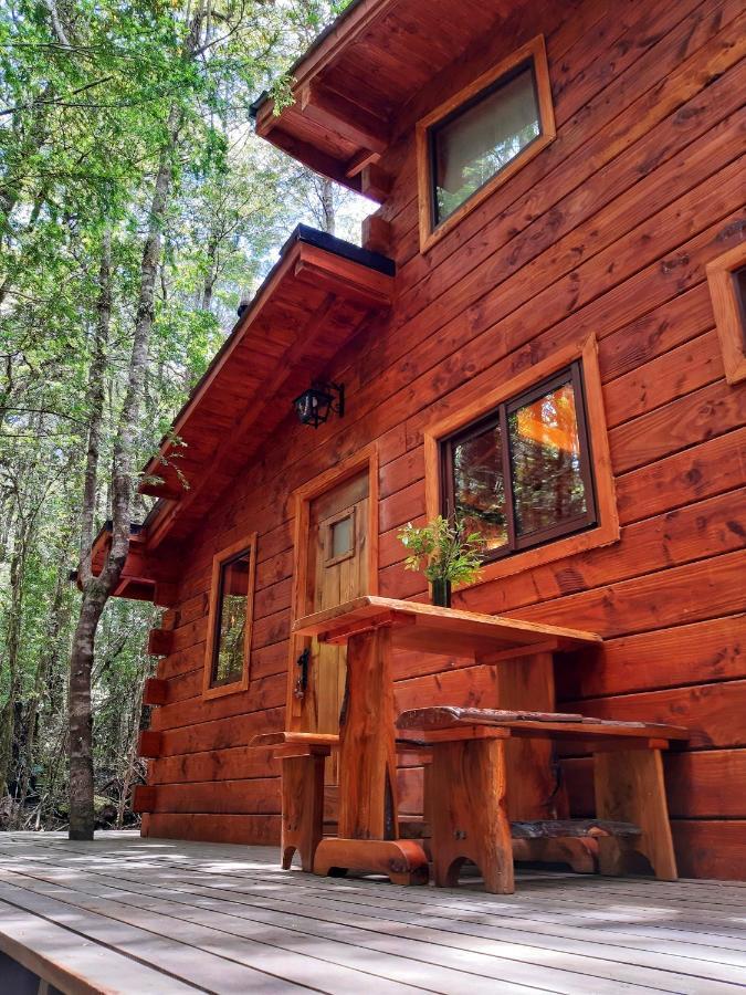 Cabanas Bosque Milenario Coñaripe Εξωτερικό φωτογραφία